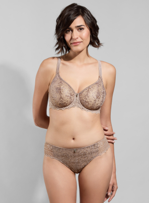 Brief CASSIOPEE Rose Sauvage