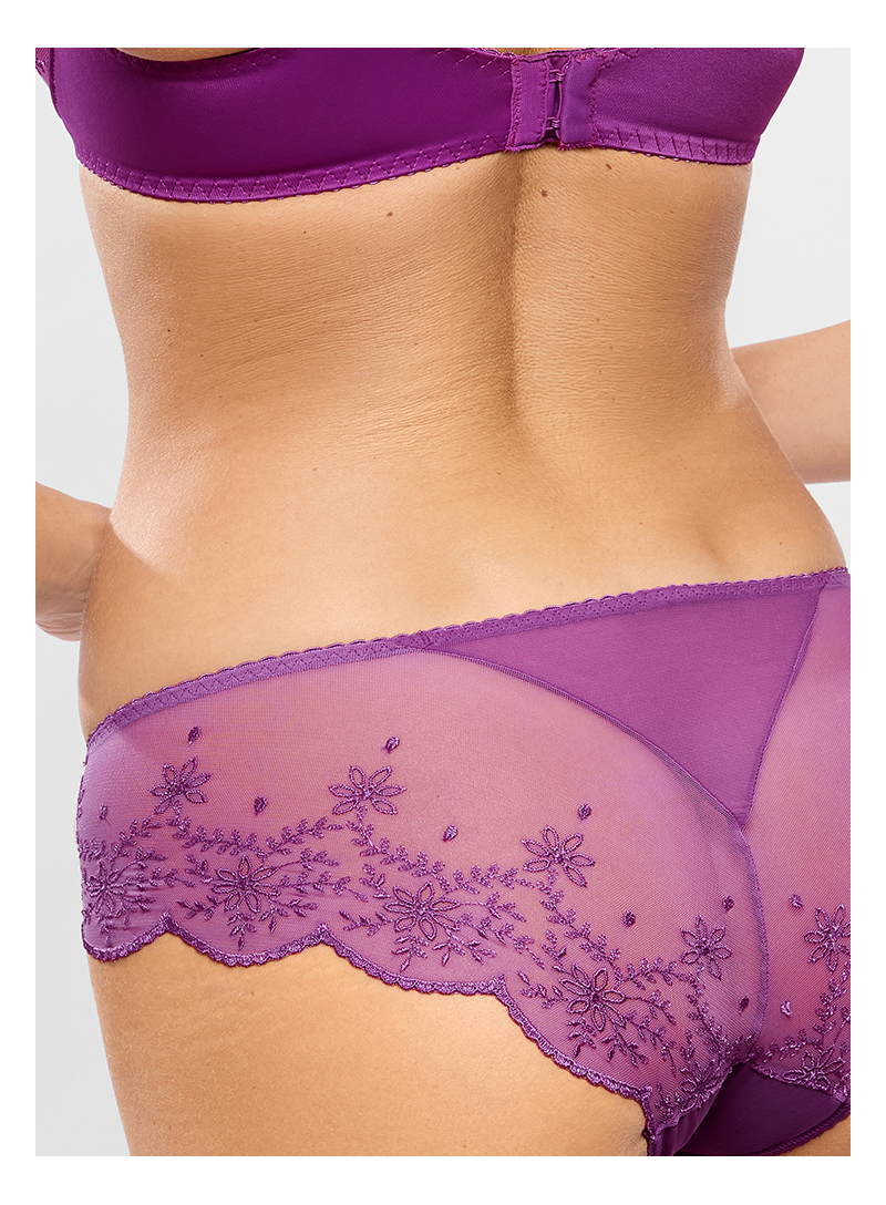 Shorty CHARLOTTE Dahlia